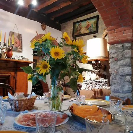 Casa Teresina Collodi