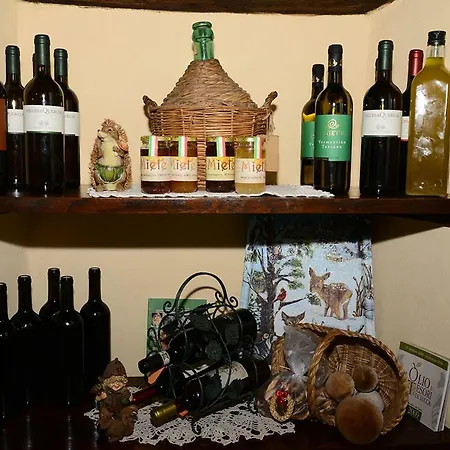 Casa Teresina Collodi